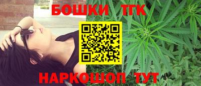 тгк Партизанск